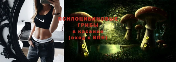 прущая мука Дмитриев