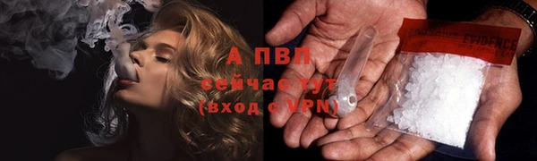 винт Дмитров