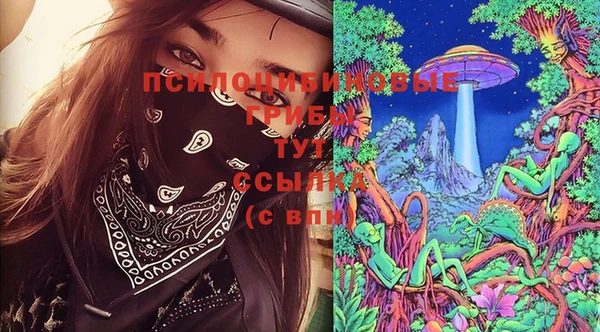 винт Дмитров