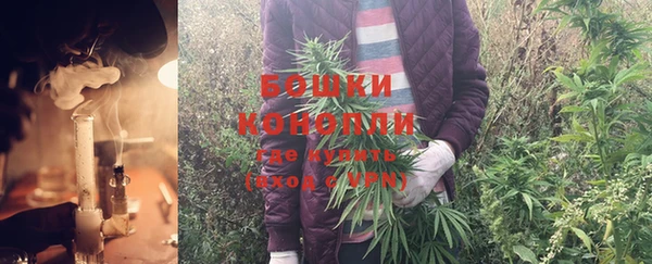 прущая мука Дмитриев