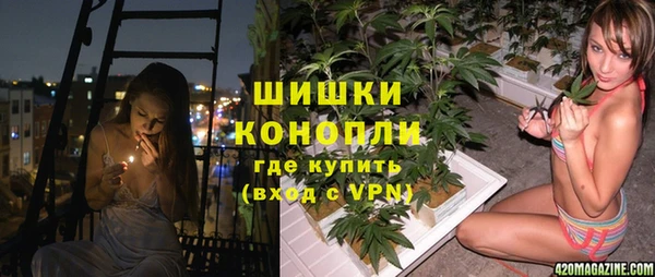 винт Дмитров
