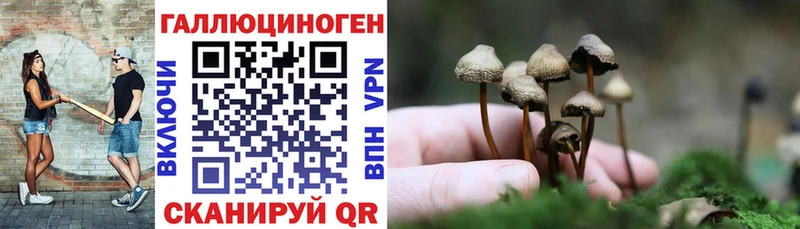 Галлюциногенные грибы Magic Shrooms  Купить  Феодосия 